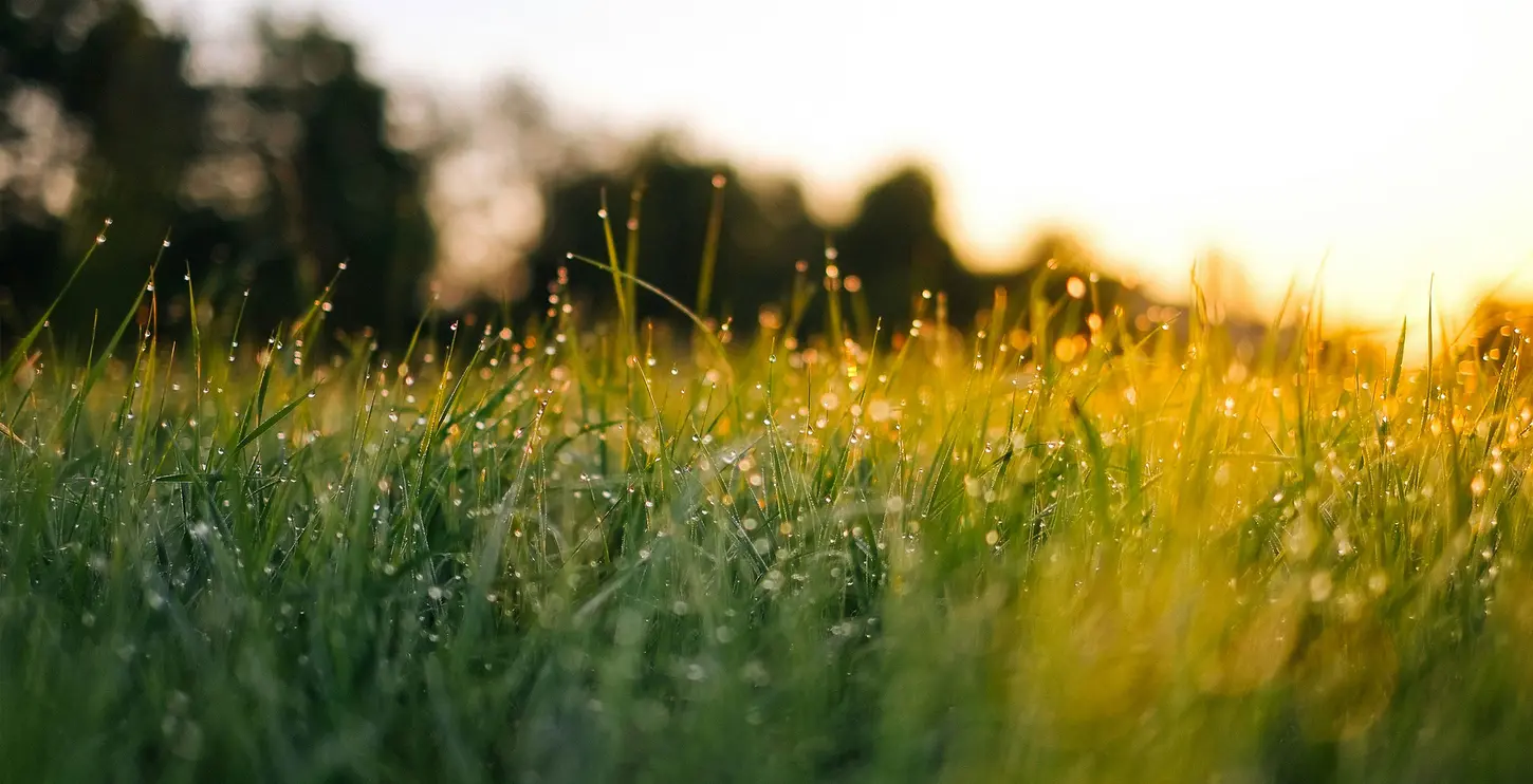 Abendrot 40 Jahre Jubiläum Naturschutztag